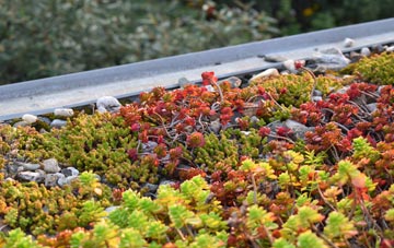 the cost of Heyrod green roof installation